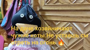 На даче хозяйничают чужие 🐱 коты. На устаешь смотреть  на огонь 🔥 24-04-2026