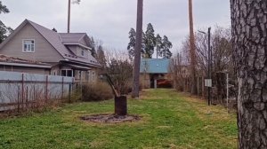 №12451374 городской поселок Сиверский