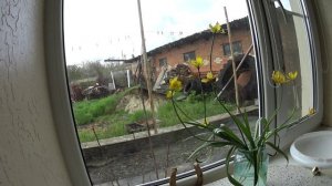 ДОЖДИ ЗАЛИВАЮТ! НАШЕСТВИЕ ЧЕРВЕЙ! ЧЕМ ЗАНЯТЬСЯ,КОГДА НЕТ СВЕТА?РЕМОНТИРУЕМ И РАСПАКОВЫВАЕМ ЗАЖИГАЛКИ