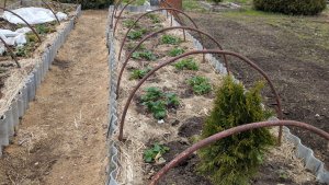 На улице стужа , но дела делаем.