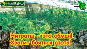 Перестаньте бояться НИТРАТОВ! Вся правда о весенней подкормке теплицы и огорода.