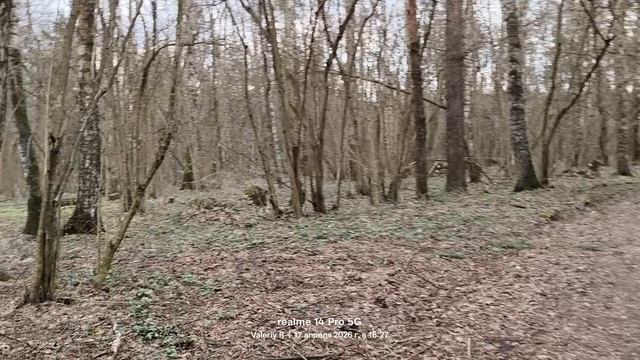 Прогулка в лесопарке 🌲🌲🌲 17.04.2026