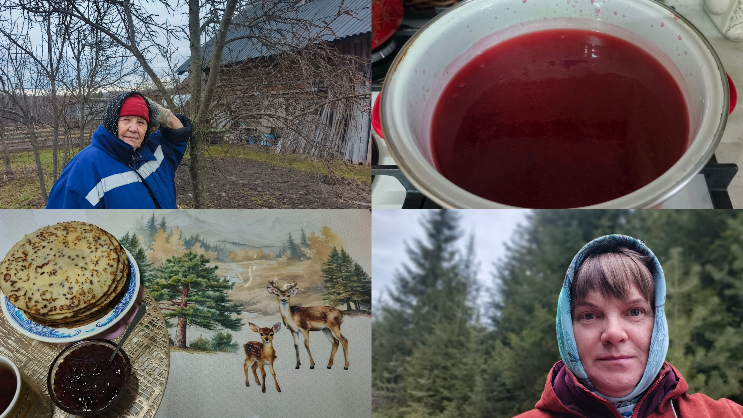 Работаем в саду ,секреты от Михайловны,кисель с блинами.