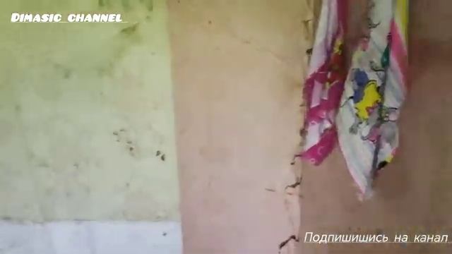 Заброшенный летний домик