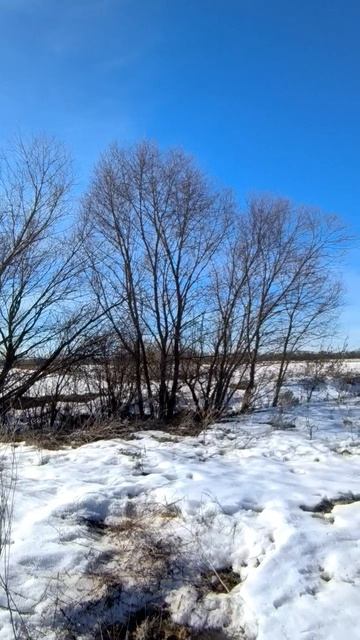 Весна в поле