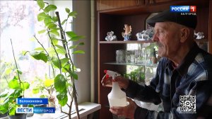 Волоконовец Алексей Дорохов выращивает у себя дома цитрусовые деревья