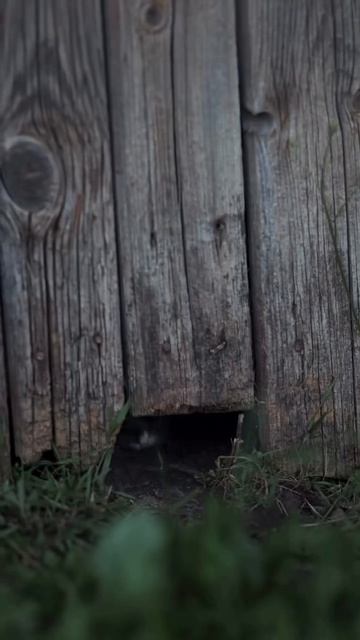 Детство 😥😎