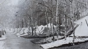 через 40 лет