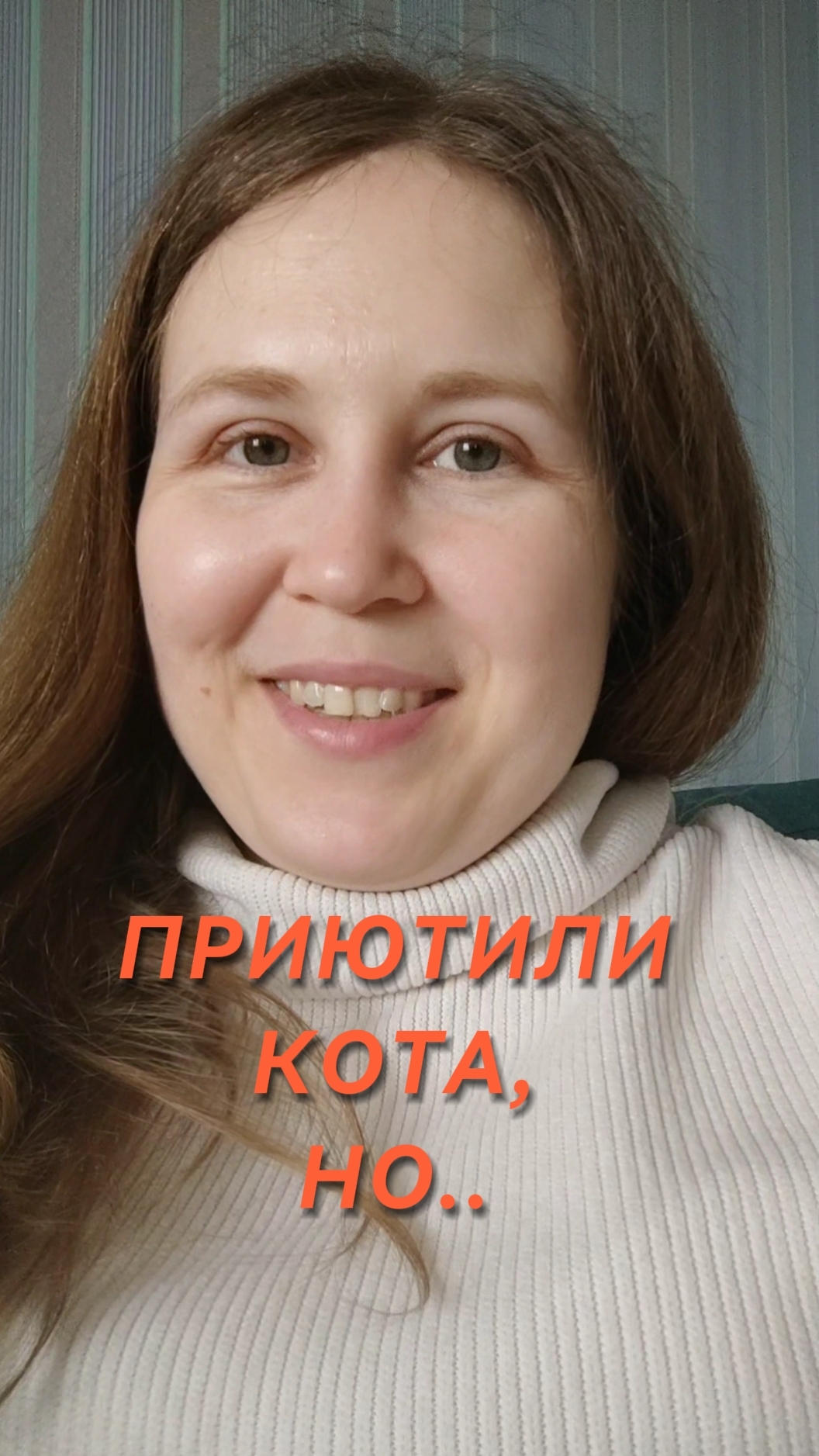 Мы приютили кота! 🐱 Мечта моей дочери сбылась! Мы взяли кота у блогера из другого города, но… #коты