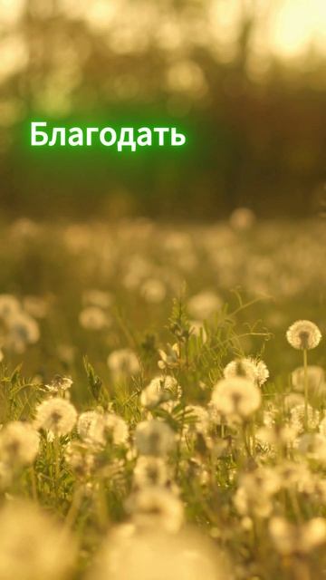 Благодать. Качество энергии дня 24.04.2026