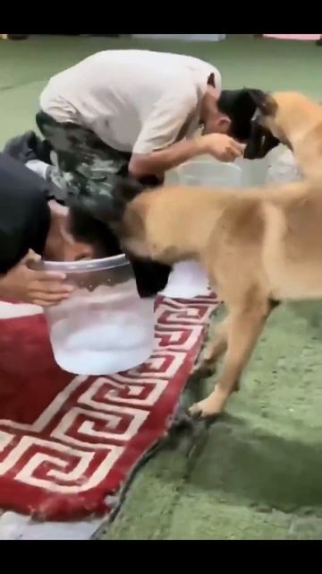 Когда понял что тебя развели.