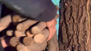 СЕКРЕТНОЕ УБЕЖИЩЕ В ДИКОМ ЛЕСУ