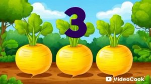 Считаем грядки