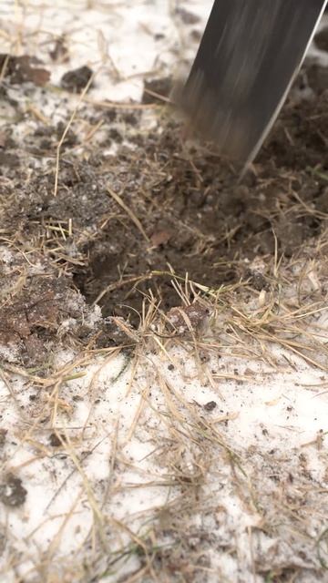 Копаем лунку под костер Топорик Буран