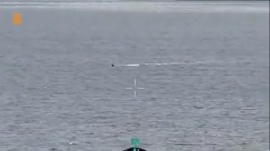 У побережья Одессы был уничтожен российский военно-морской беспилотник.

Россия располагает подобным