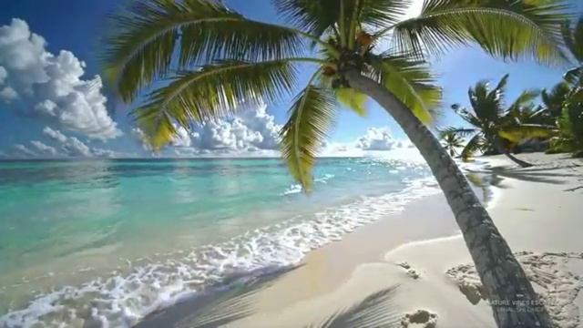 🌊 Звуки океана на пляже Французской Полинезии | Тропический релакс на райских островах🌴💦