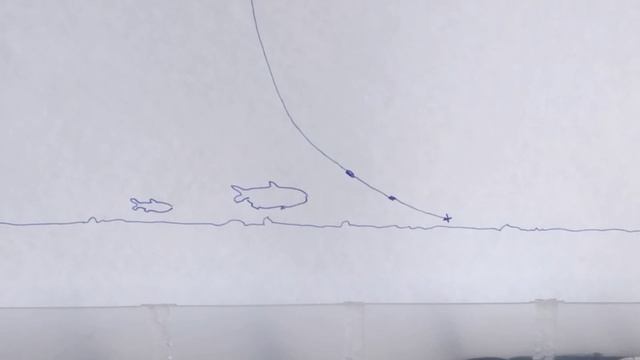 ловля на течении в проводку.