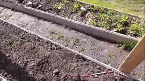 ГРЯДКА ДЛЯ ЛЕНИВЫХ