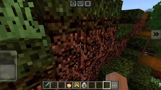 Бесконечный Читатель Майнкрафт 1.15