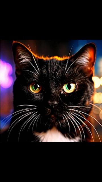 Кото-Клип | 🔥Neuro_Flame🎸 | AI Music 🤖