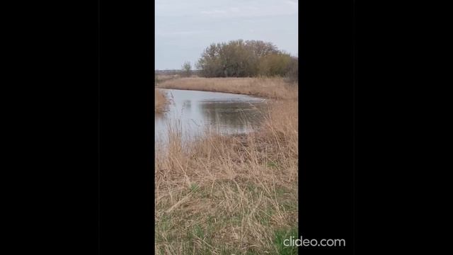 Самарская обл Черноречье село Чернореченская