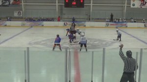 Львы - Динамо 24042026