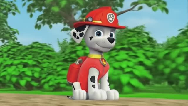 Щенячий патруль, Скай, Маршал, Эверест, Гончик, Крепыш и Роки катаются на велосипедах . Для детей!