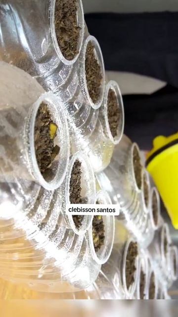 Новые технологии выращивания растений по-новому. 

#растение #земля #вода