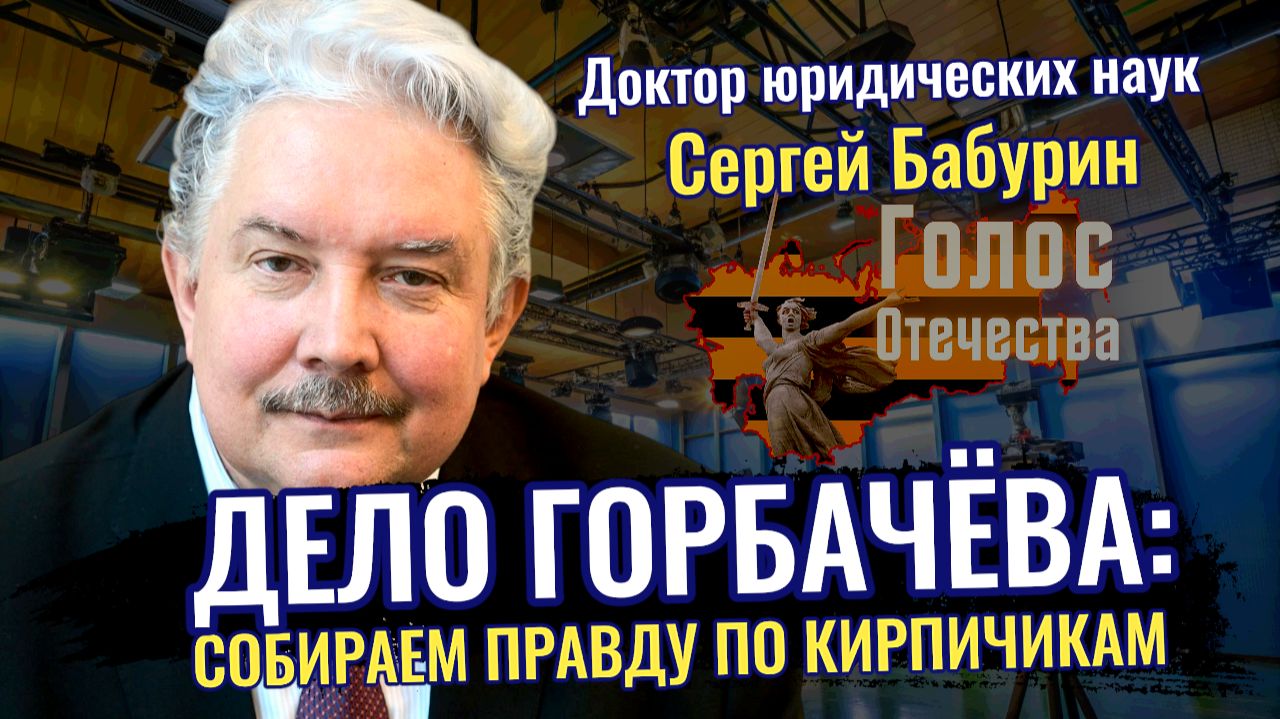 Дело Горбачёва: собираем правду по кирпичикам - Сергей Бабурин, Лидия Желамкова