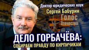 Дело Горбачёва: собираем правду по кирпичикам - Сергей Бабурин, Лидия Желамкова