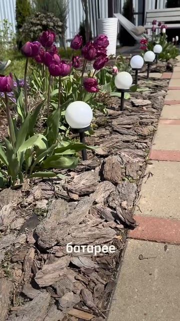 Должны быть у каждого - арт wb: 220458871