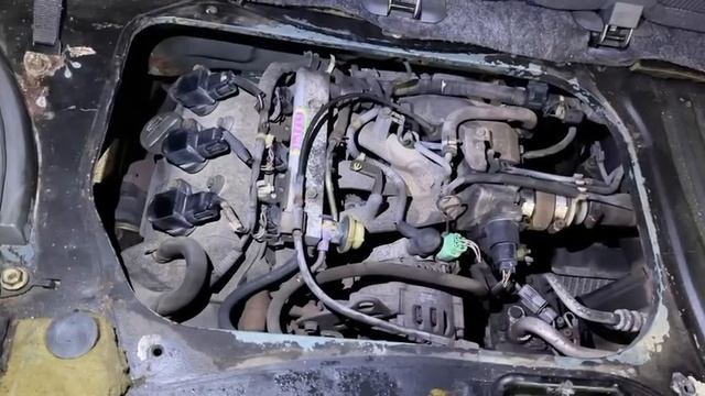 E07Z-1005884 TM2261 HONDA Z PA1