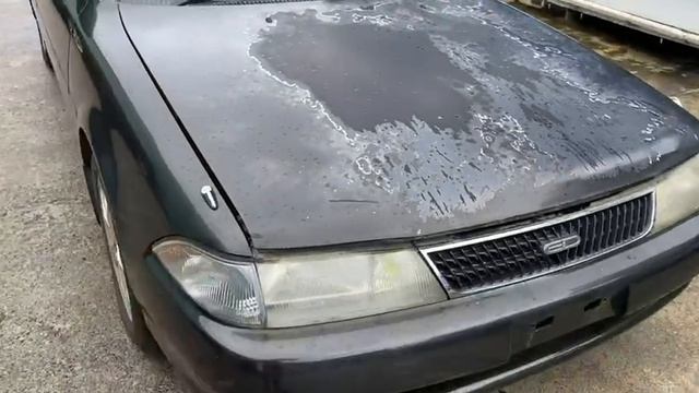 3S-1647612 TM2363 CARINA ED ST182