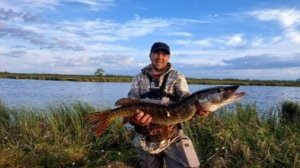 Вот это рыбалка крупная щука даёт жару окунь клюёт на каждом забросе.Не рыбалка а сказка.