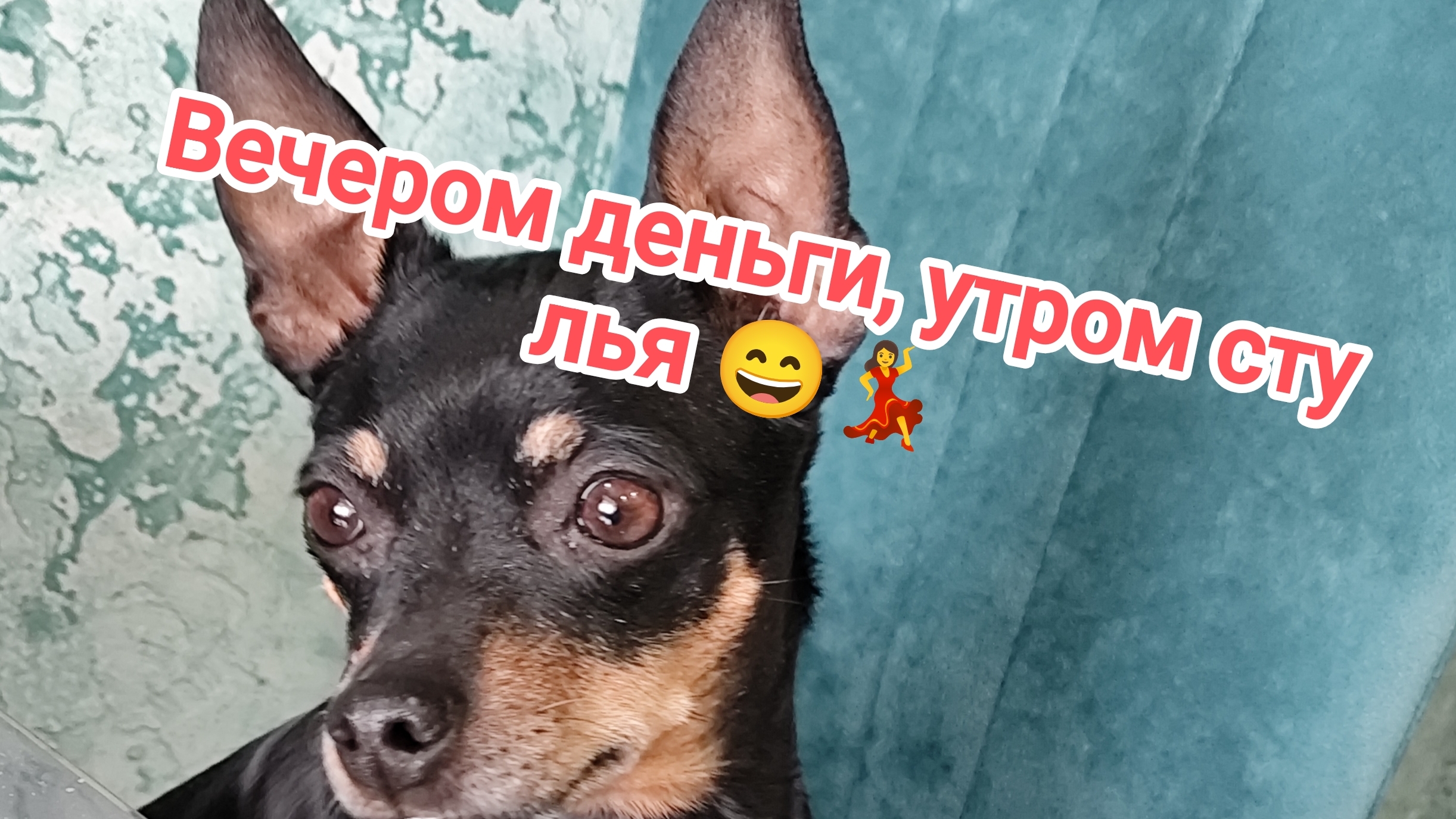 Вечером деньги утром стулья.Что успела посеять. 24-04-2026