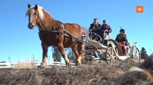 Программа «Город. Новости по-выборгски» от 23 апреля 2026 года