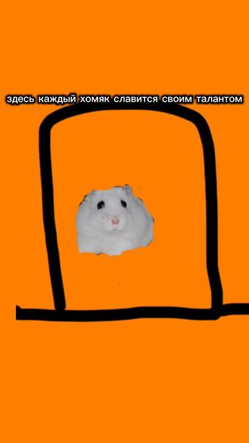 хома хома 1 часть