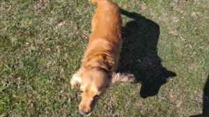 2026вокруг водохранилища вдвоём весна