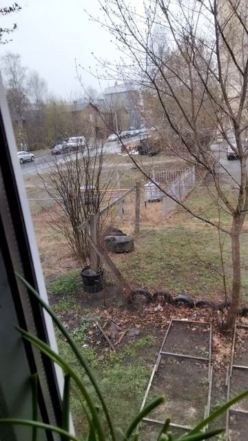 У нас опять похолодало. Снежок . Карелия