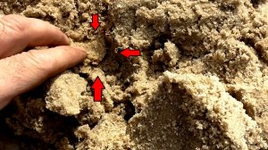 И ЗОЛОТО и серебро! И Золотая орда.