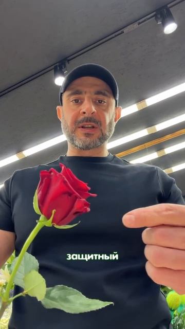 Как правильно выбирать розу