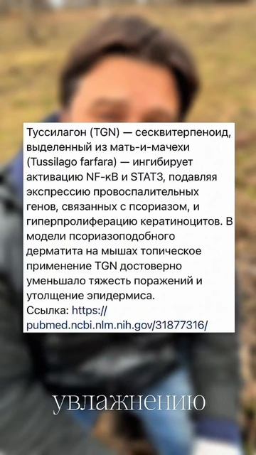 Мать-и-мачеха при псориазе