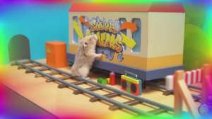 Удивительное исследование лабиринта с хомячком – неожиданная находчивость! часть 1