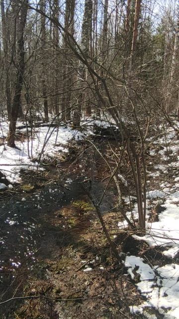 23 Апреля 2026