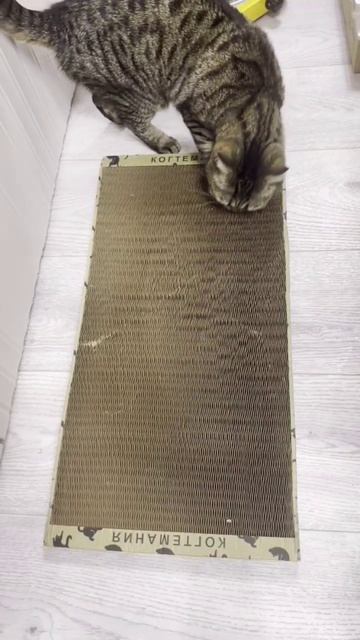 Когтеточка кошке очень нравится, хороший размер!❤️