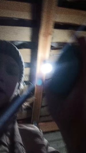 тренировка на гимнастических кольцах💪