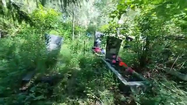 Кладбище Ново-Талицы 1 часть