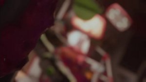 трейлер 5 главы поппи плейтайм озвучка на русском