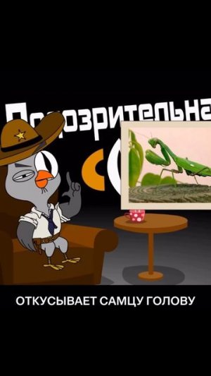 Учим биологию вместе с «Подозрительной совой»