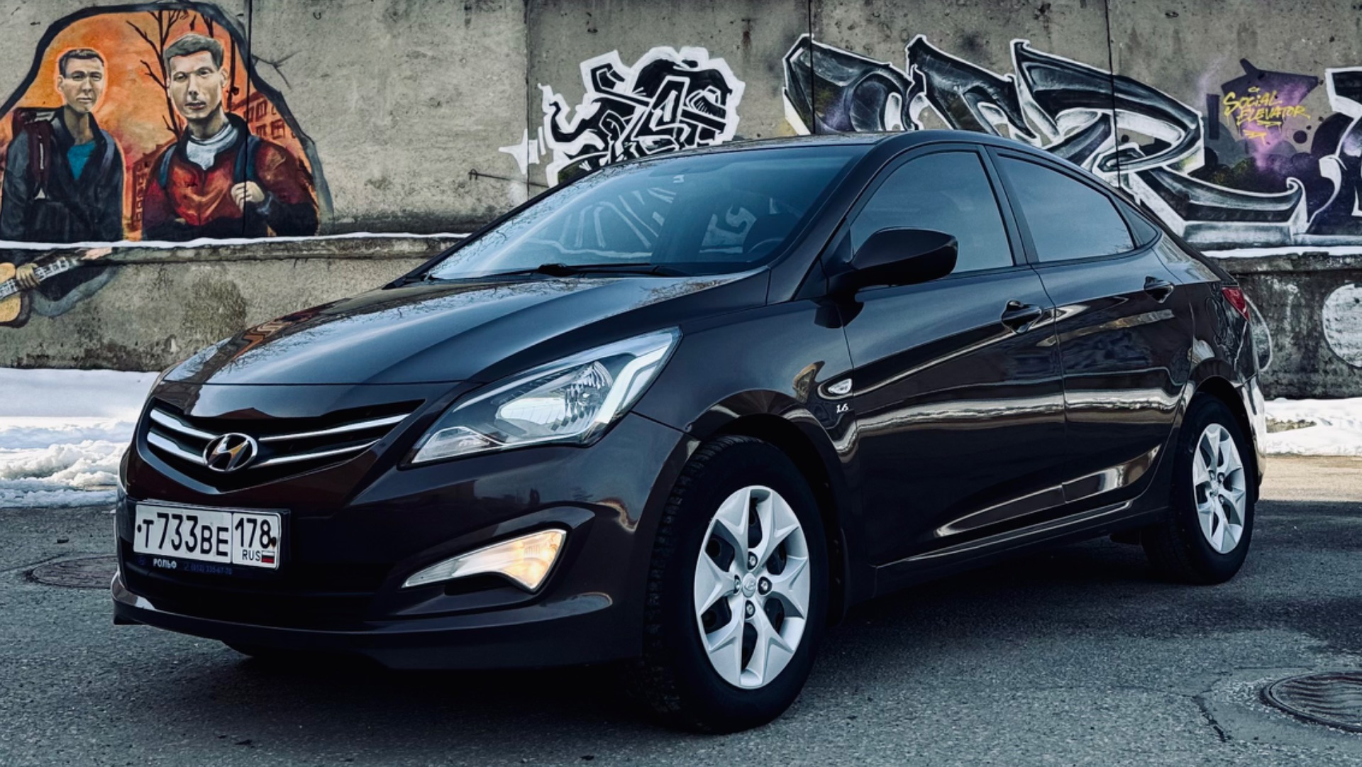 Solaris Brown общий вид